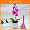 Flower Four Simulated Phalaenopsis Artificial Green Plant Potted Indoor Decor