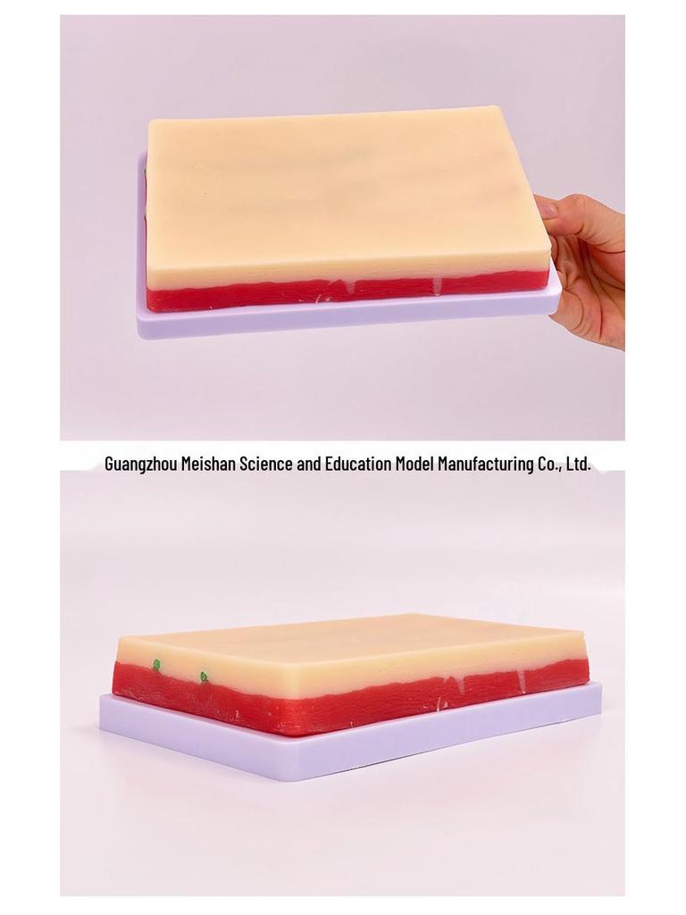 Multifunctional Venipuncture and Injection Training Arm