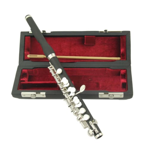 Tachiuwa C Key Flute with Carrying Case and Cleaning Cloth, Beginner Kids Gift