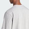 Adidas All Season Embroidery Graphic Tee Men Tops Gray IS1474