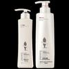 Adolph Anti-Dandruff Refreshing Shampoo & Conditioner Set