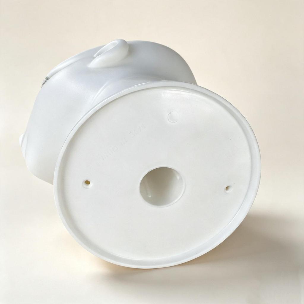 Anime-Style Mannequin Head with Base Lightweight for Classroom, Home Work Area