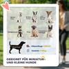 Foldable Dog Stroller, Pet Travel Crate, with Detachable Carrier, Soft Padding, for Mini, Small Dogs - Grey