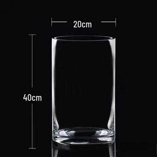 Transparent Glass Flower Vase & Hydroponic Container - Floor Ornament