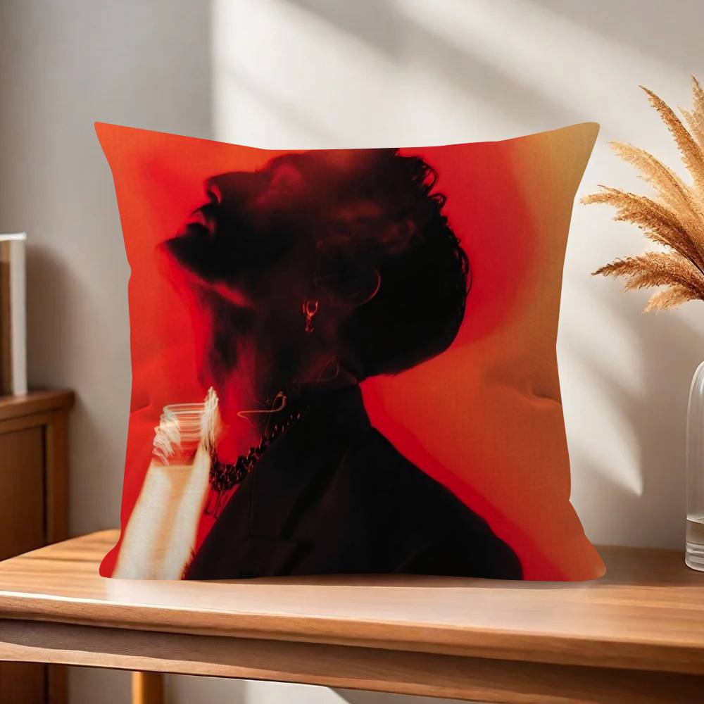 Rock Singer DDamiano David Cushion Cover Decorative Pillow Sofa Home Decor case pillow cases