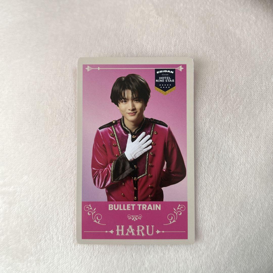 

[USED] EbiRai 2025 Invitation Card EBiDAN Bullet Train Haru
