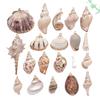White & Yellow Electroplated Ocean Shell Conch Pendant Charm for DIY Jewelry