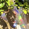 Nastro Antiacciacciamento Uccelli 50/80M Nastro Riflettente Lampeggiante Spaventapasseri Nastro Repellente per Uccelli Nastro Repellente per Piccioni Controllo Parassiti Giardino