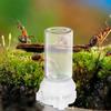 2 Pcs Transparent Ant Feeding Boxes for Indoor Use Ant Feeding Containers with Ant Ideal Ant Feeder Station