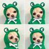 New Warm Coat Animals Costume Dog Jumpsuit Dog Winter Clothes Fruit Puppy Coat Pet Hoodie