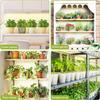 Full Spectrum LED Grow Light for Indoor Plants, Seedlings, and Aquariums