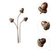 Dried Flower Arrangement In Vase, DIY Centerpiece for Bedroom and Party Settings