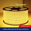 Guipai LED Warm White Light Strip with Plug