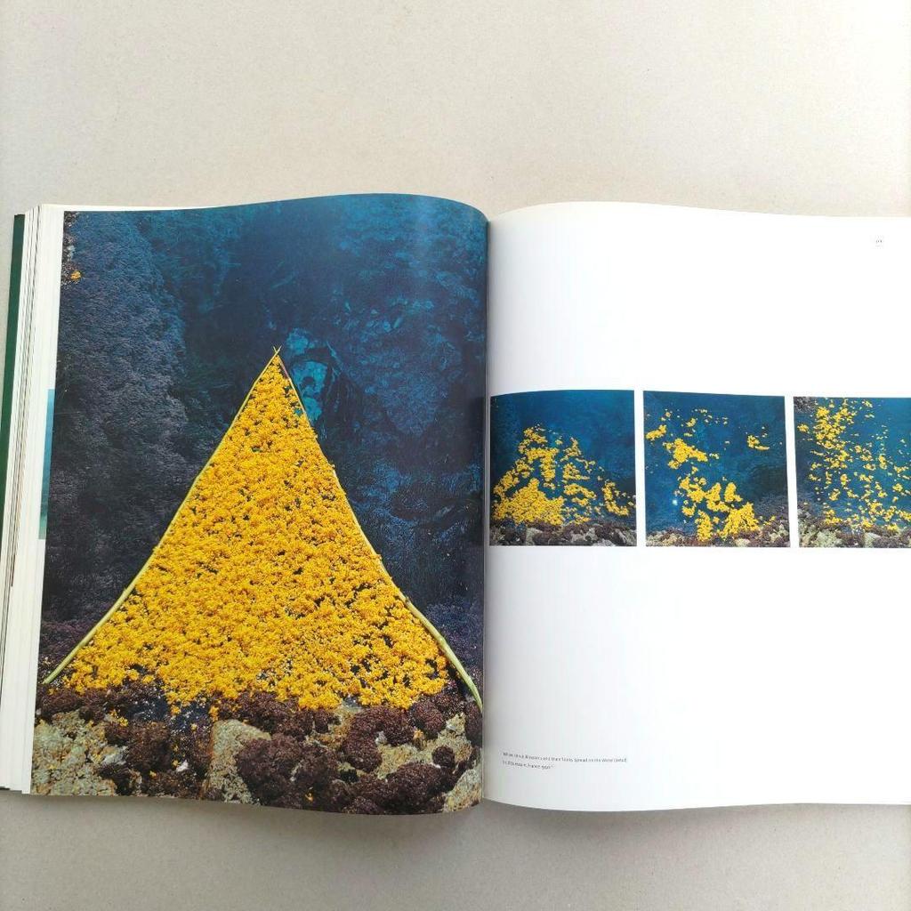 [USED] NILS-UDO Art in Nature/Nils-Udo Photo Collection