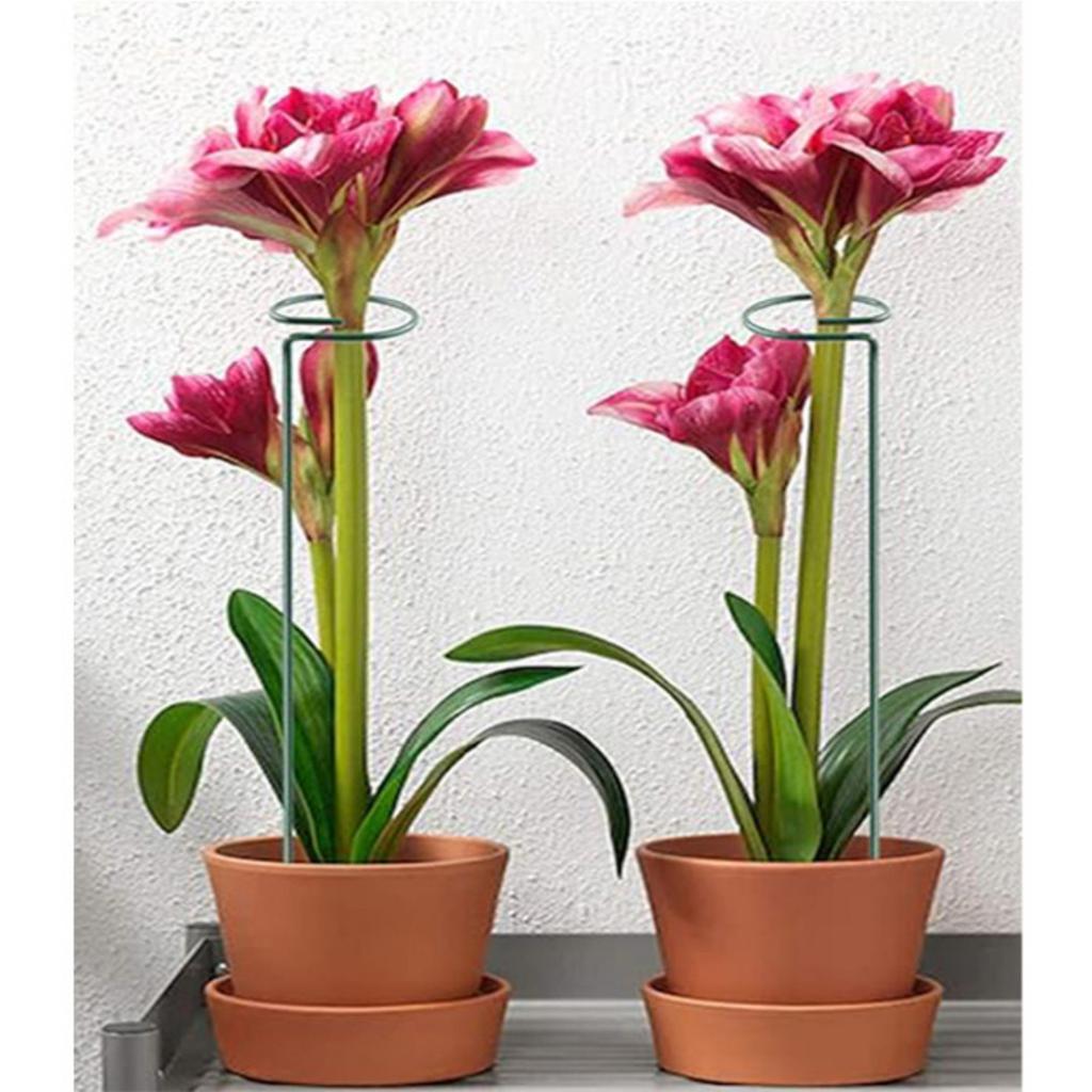 Tomato Stake, Spiral Tomato Stakes, Tomatos Stakes, Plant Supports Cages, Climbing Plant Stake Tower Plant Supports, Support Tools For The Garden