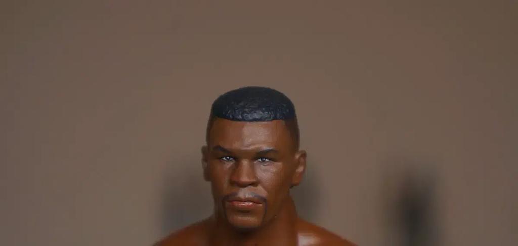 WWE Tyson Gebraucht
