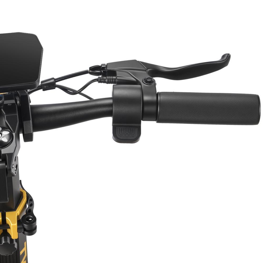 TWOFISH V2 MAX Dospelácka Elektrická Kolobežka 800W Motor 48V 20AH Batéria Maximálne Zaťaženie 120KG Terénna Off-Road Commuting E-Kolobežka