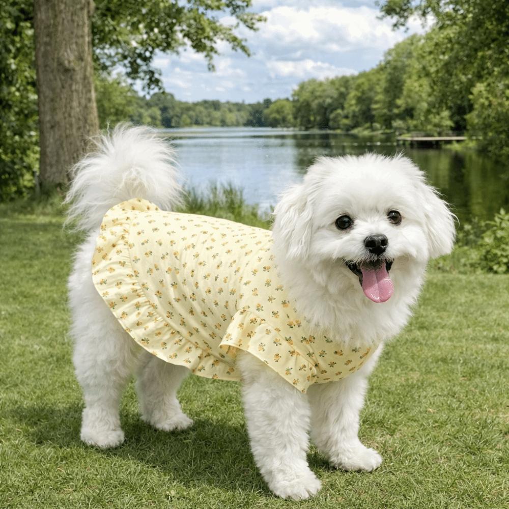 Flutter Sleeve Dog Floral Skirt Fruit Print Dog Cooling Clothes Dog Summer Vest Spring Summer