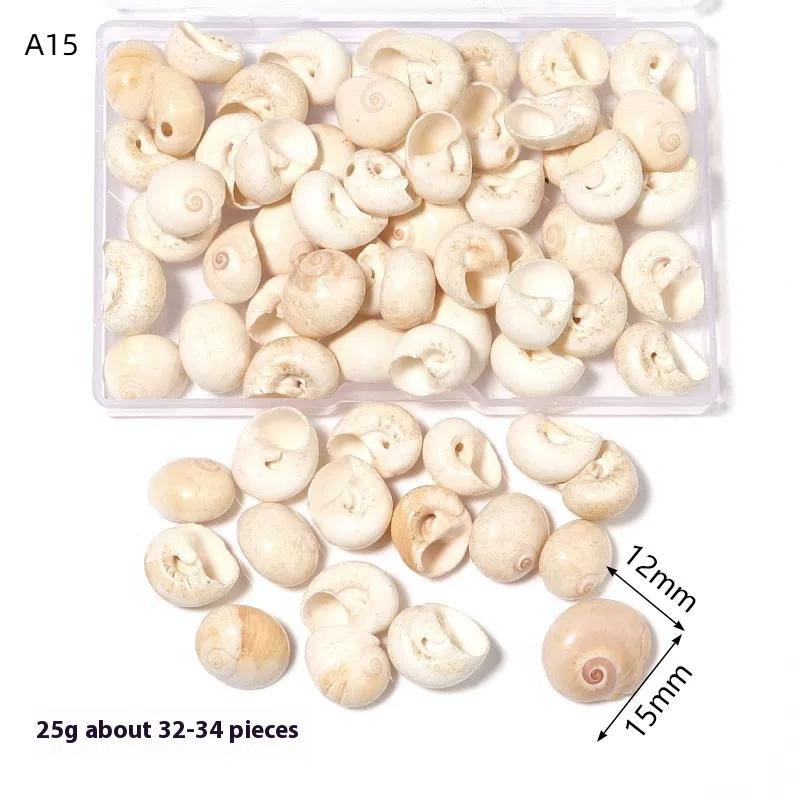 1 Caja Conchas Marinas Concha Espiral Pequeñas Conchas Marinas Espirales del Océano Manualidades Decoración de Acuario Accesorios de Paisajismo