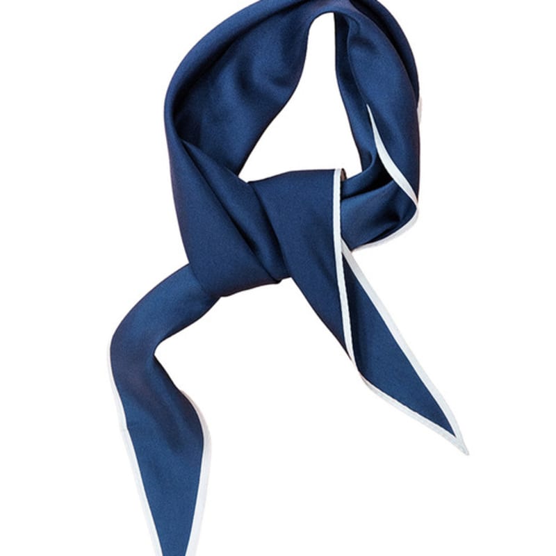 

pelote Silk Coloured Scarf (Navy) FREE