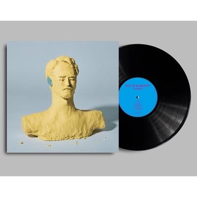 

LP Record TENDRE - NOT IN ALMIGHTY DDJB91230 RALLYE LABEL 2024 Japan Japanese Pop/Rock