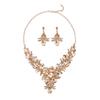 Alloy Clavicle Chain Necklace Earrings Set Female Court Temperament Vintage Colored Flower Crystal
