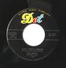7inch Record PAT BOONE  Aint That A Shame 4516028 Dot Records 1960 US Rock Used