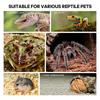 HHO-Jumping Spider Enclosure Accessories, Large Acrylic Terrarium, Tarantula-Reptile Enclosure