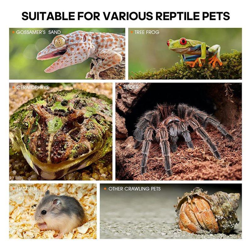 HHO-Jumping Spider Enclosure Accessories, Large Acrylic Terrarium, Tarantula-Reptile Enclosure