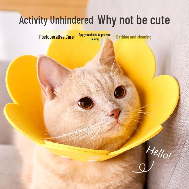 

Захисний комір для тварин (від вилизування) для котів і собак Yellow M: 1 piece