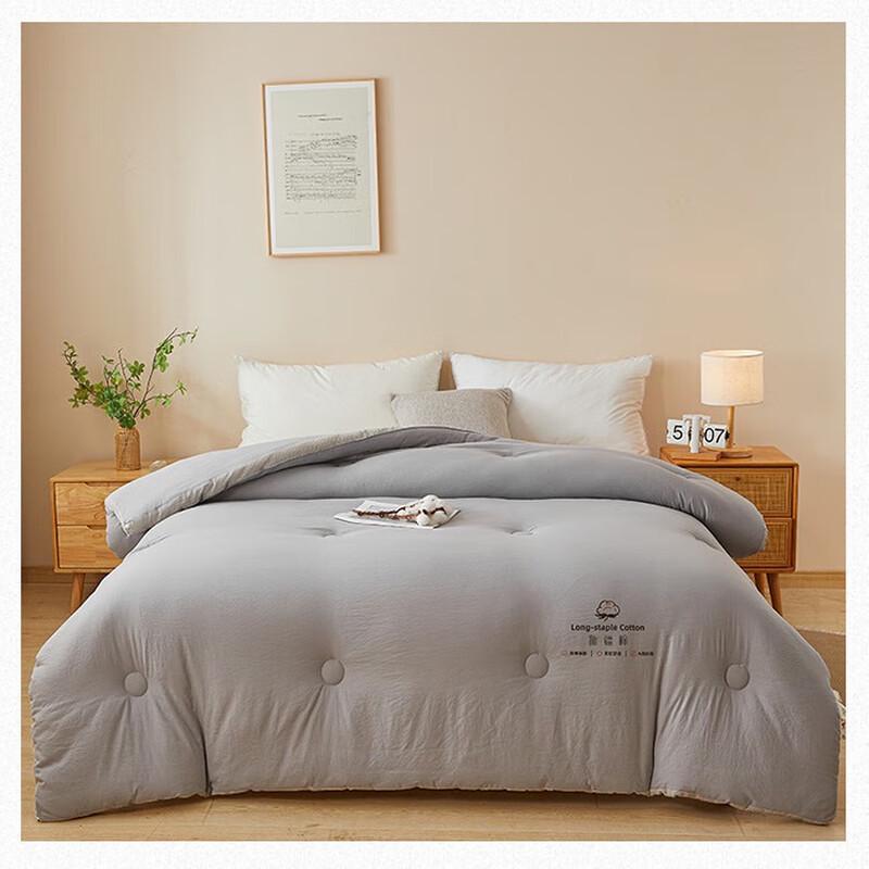 Muji Style 100% Xinjiang Cotton Winter Quilt