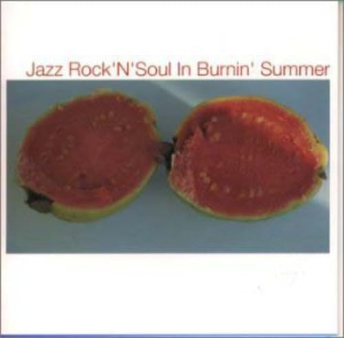 

CD VARIOUS - Jazz Rock n Soul in Burnin Summer MVCE19008PROMO Japan ObiJazz Used