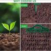 Seeds Spreader Seed Spacer and Seeder Tool Gardening Drilling and Loosening Tools Soil Puncher Loosening Gardening Accessories