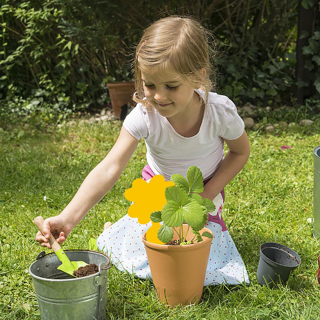 Flie Traps Sticky Board -Sided Sticky Traps Flying Plant Insect Catcher