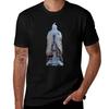 Bird On Confucius Statue Tshirt Novelty Print Casual Tee Shirt