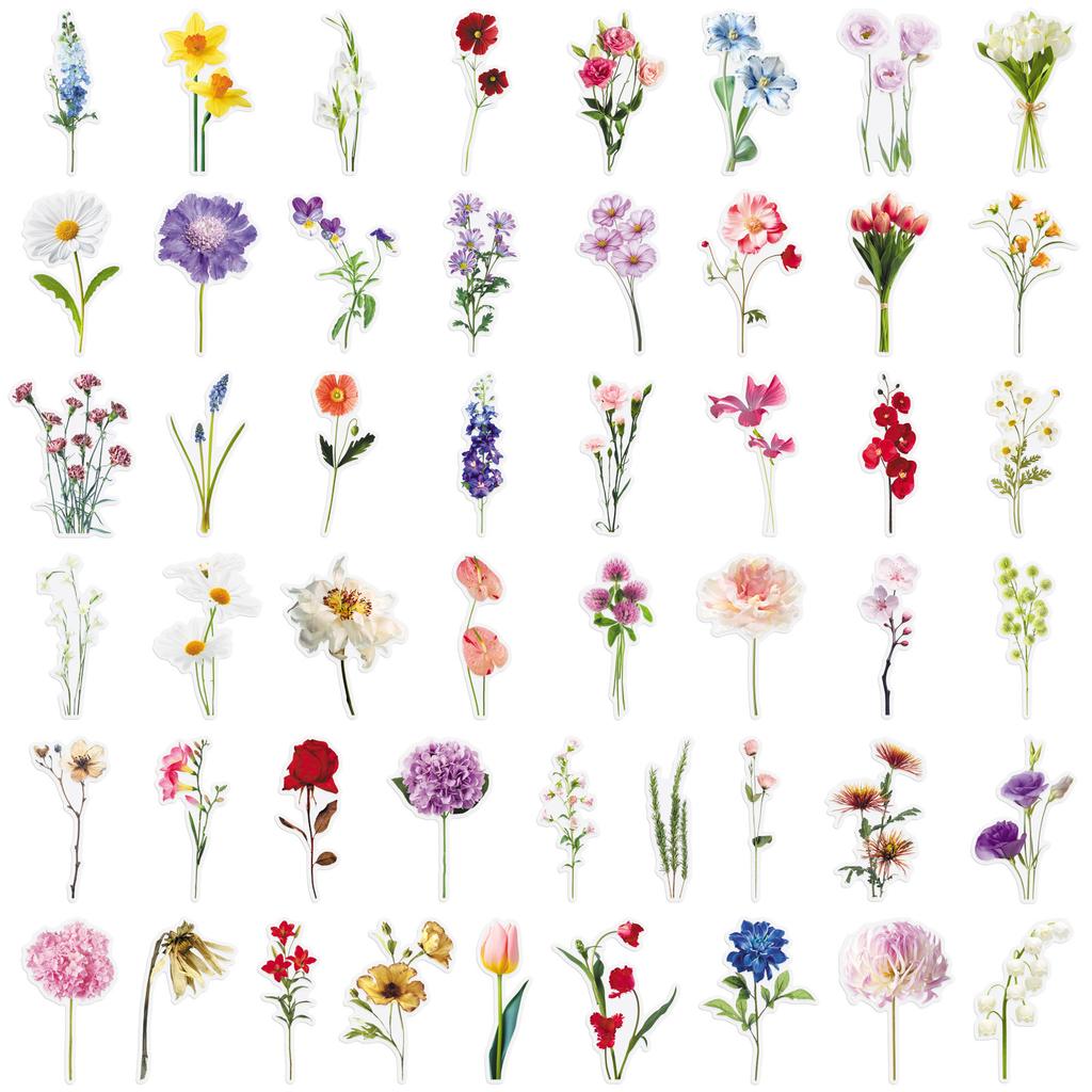 50pcs/1 lot Flower Material PET Transparent Stickers Realistic INS Style Cute Girl's Hand Account Material Storage Box Gocco