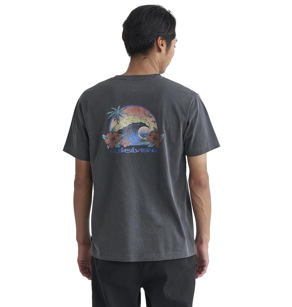 Quiksilver Men's Pigment-Processed US Cotton Back Print T-Shirt (QST241009 CHC)