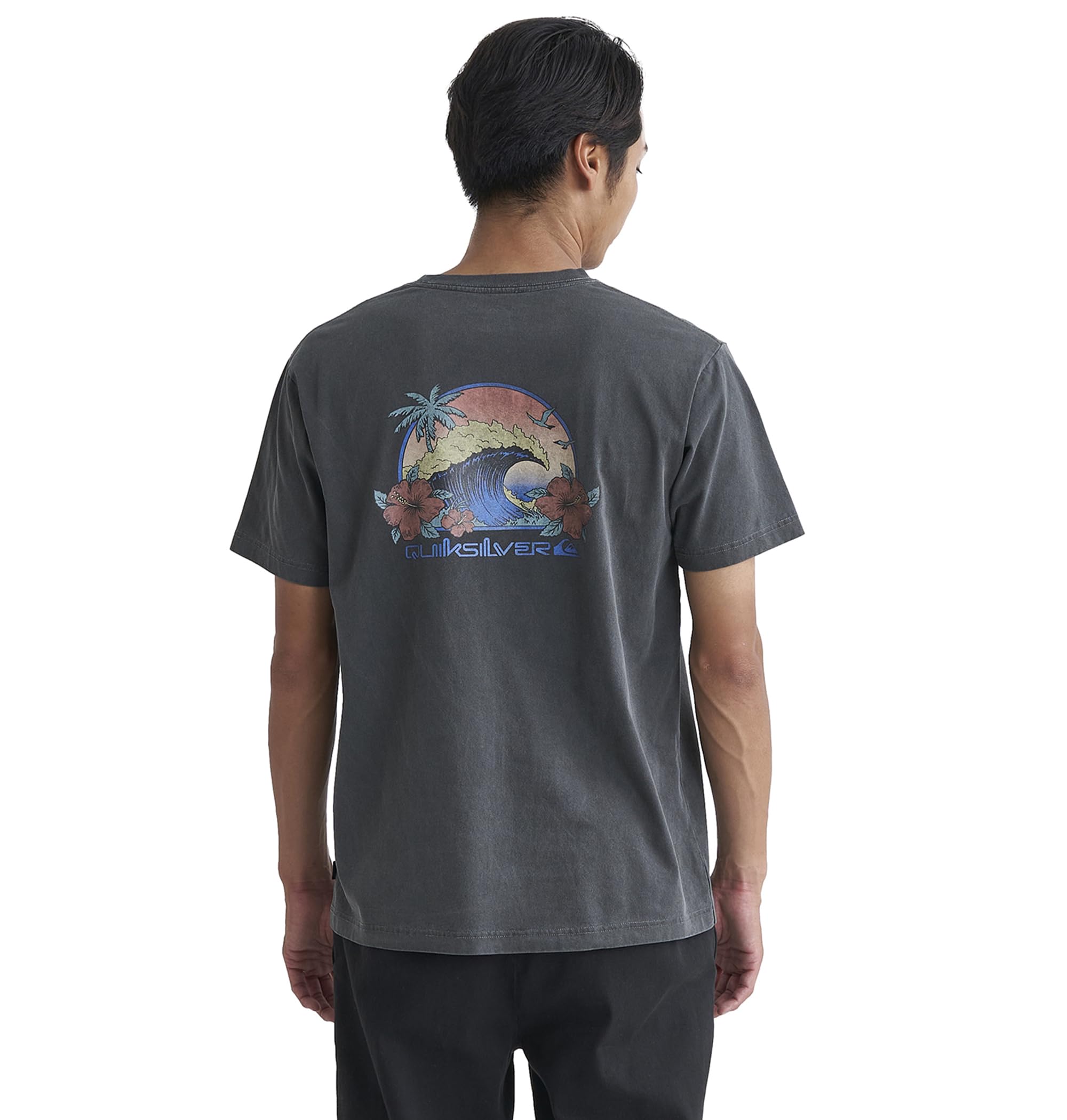 

Quiksilver Men s Pigment-Processed US Cotton Back Print T-Shirt (QST241009 CHC)