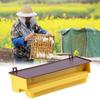 Italian Bee Pollen Collector & Feeder with Ears