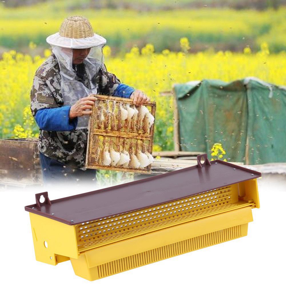 Italian Bee Pollen Collector & Feeder with Ears