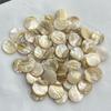 20Pcs/Pack, Irregular Round Shell Beads, Natural Shell Loose Beads, 20mm, for Jewelry Making DIY Supplies, Unisex Crafts