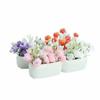Multicolor Dollhouse Flower Bonsai Babysbreath Jasmine Micro Bonsai Toy Miniature Potted Plants