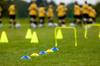 Set of 50 Flexible Mushroom Soccer Training Cones