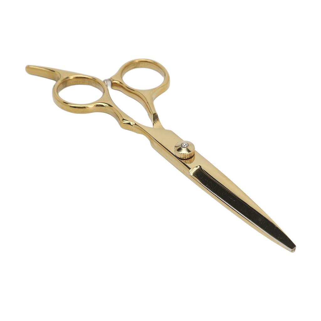 Hair Cutting Scissors Professional Home Barber Shears Stainless Steel with Incisive Blades