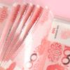50 Pockets 85*160mm Money Budget Planner Envelopes Cash Notebook Cover for Budgeting Money Organizer for Budget Binder