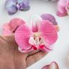 Butterfly Orchid Artificial Flowers Hot Sale Items Festival Wedding Bridal Accessories Headwear Air Clips Diy Gift Box Scrapbook