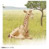 Takara Tomy Ania Giraffe Animal Dinosaur Toy Ages AC-04 (Children) 3+