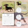 2026 Wall Calendar, Fun Themed Calendar, Fun Chat Gift, Perfect Choice For Home Use.