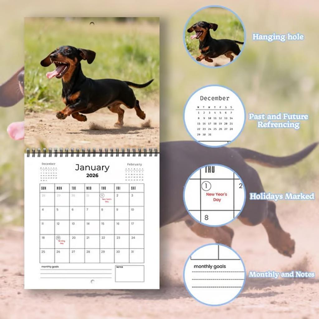 2026 Wall Calendar, Fun Themed Calendar, Fun Chat Gift, Perfect Choice For Home Use.