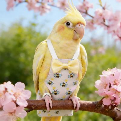 Yousheng Parrot Diaper, Cute Cartoon Print Bird Diaper with Bow, Reusable Parrot Nappy Flight Suit for Cockatiels Lovebirds